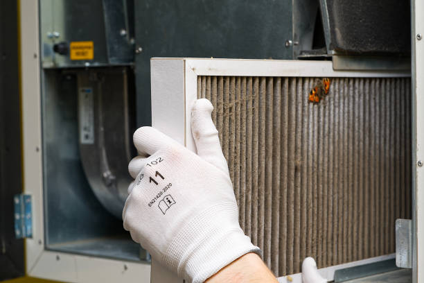 Best Professional Duct Cleaning Services  in Mantua, VA