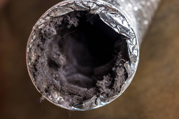 Best Commercial HVAC Duct Cleaning  in Mantua, VA